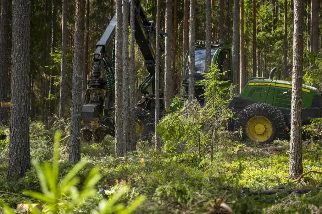 Bergkvist Siljan skog skogsmaskin