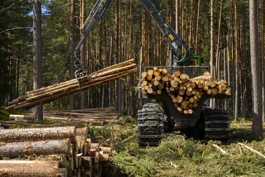 Bergkvist Siljan skog skogsmaskin