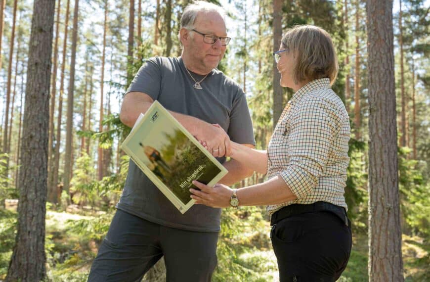 Skogsbruksplan
