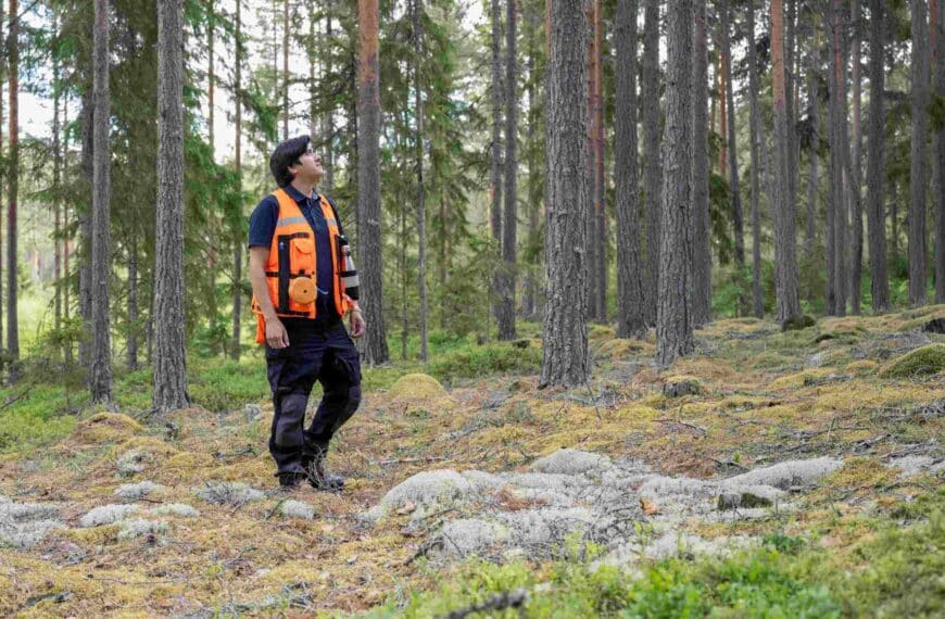 Certifiera din skog